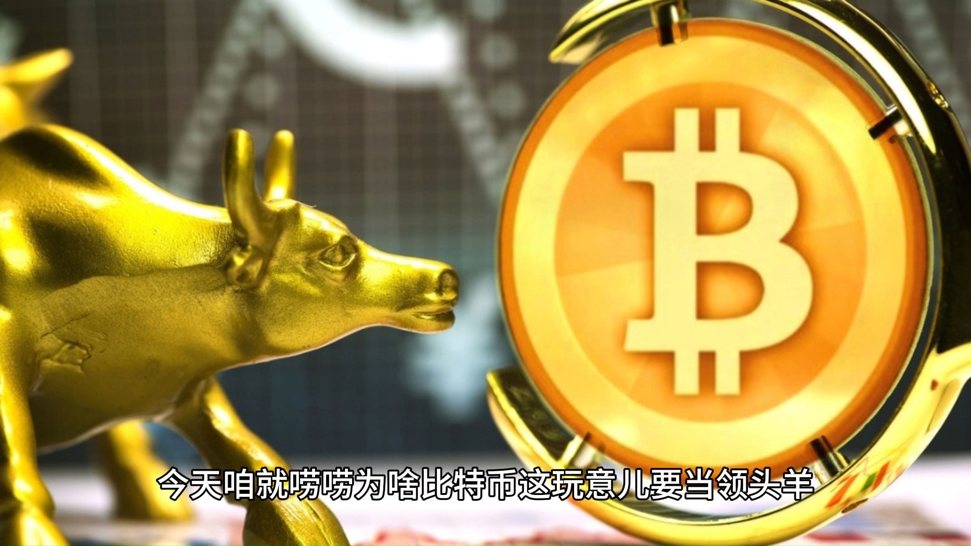 TON冲破56美元大关,牛市是否已来临? TON冲破56美元大关,牛市是否已来临?